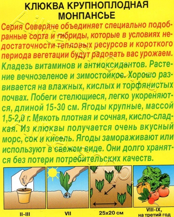 Клюква крупноплодная Монпансье 0,02г