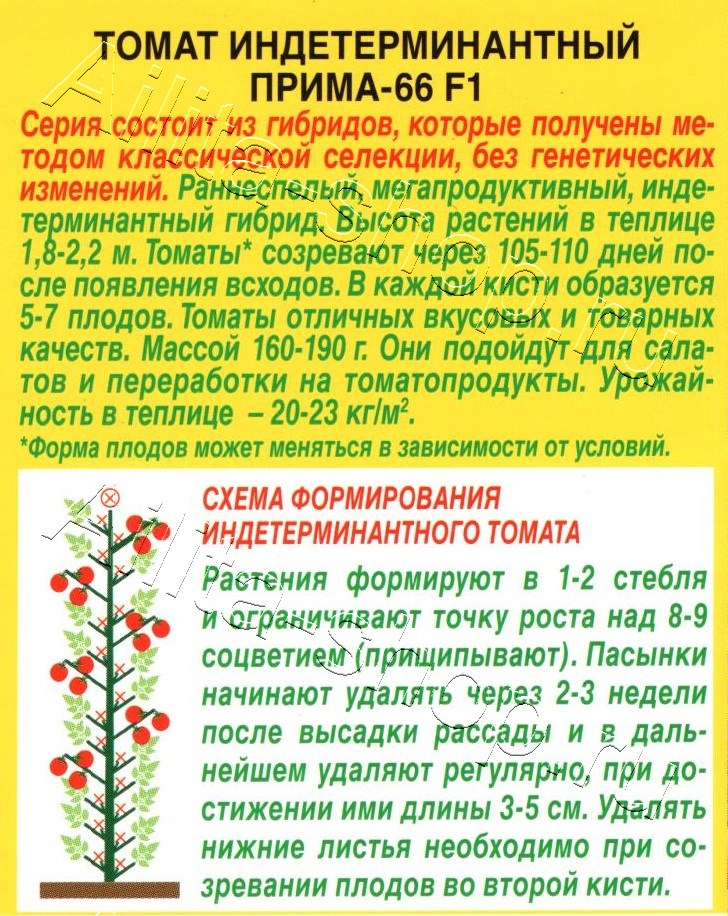 Томат Прима-66 F1 20шт