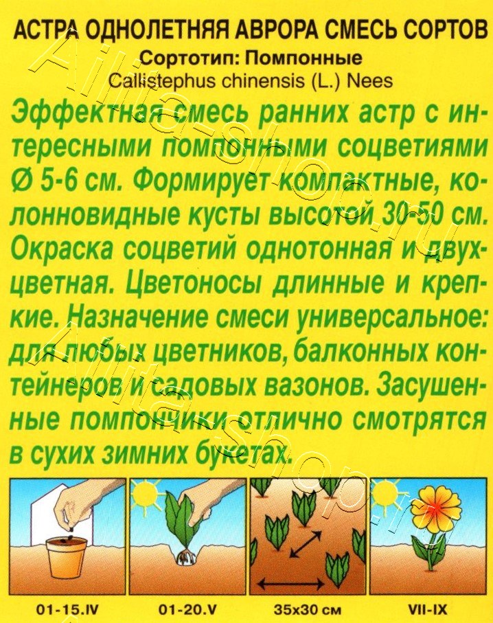 Астра Аврора, смесь окрасок 0,2г