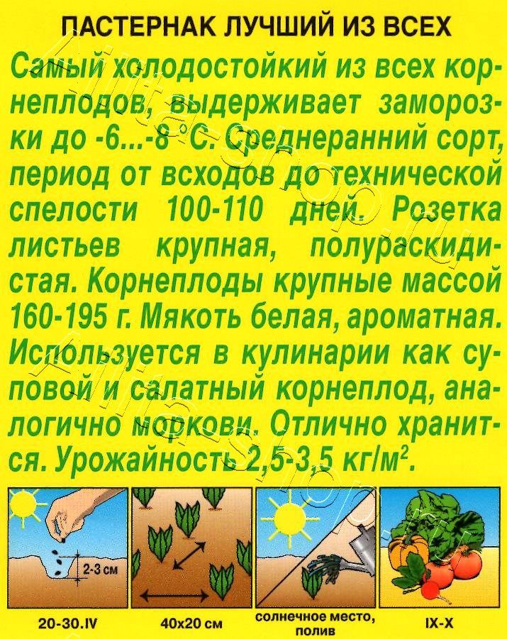 Пастернак Лучший из всех 1г