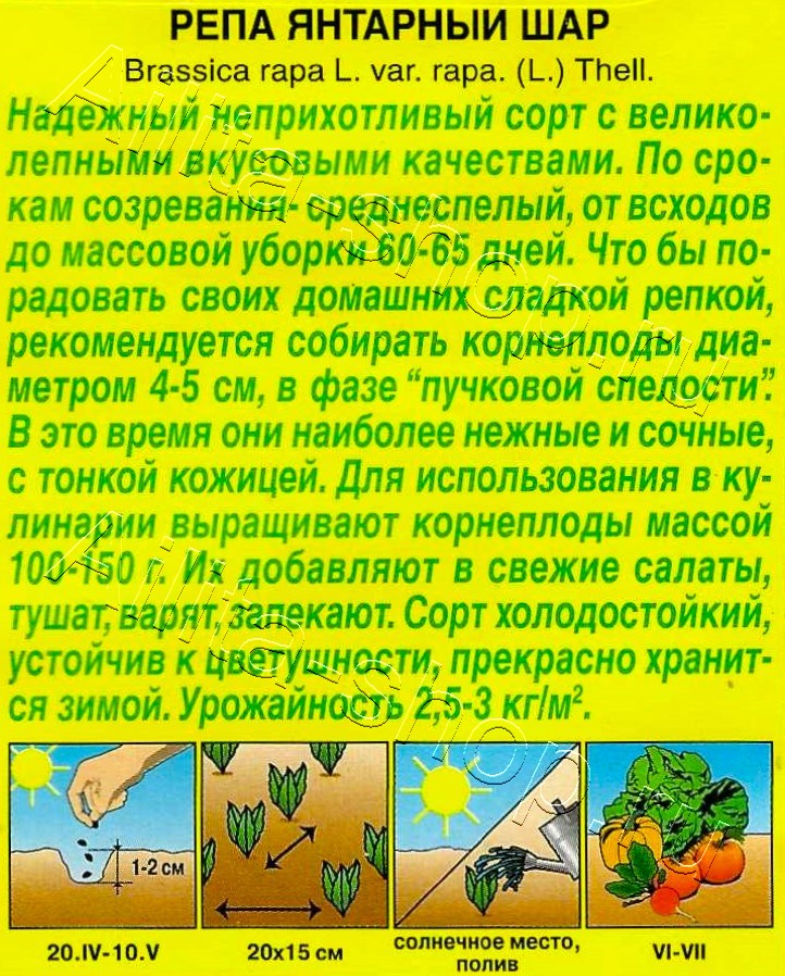 Репа Янтарный шар 1г