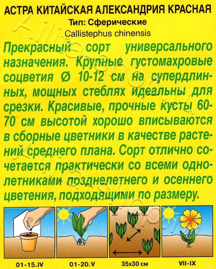 Астра Александрия красная 0,1г