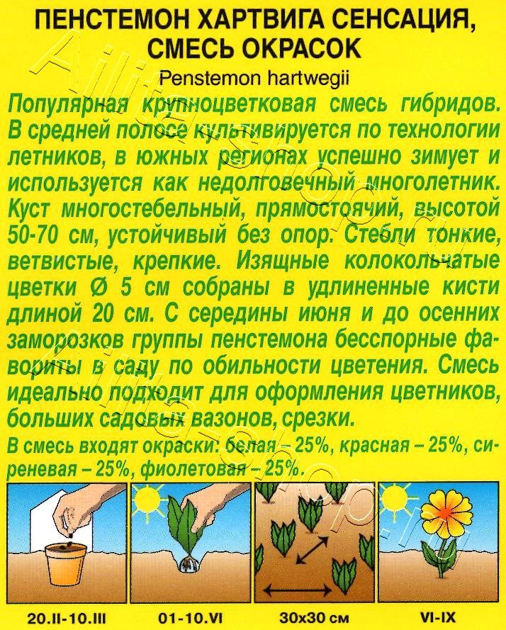 Пенстемон Сенсация, смесь окрасок 0,1г