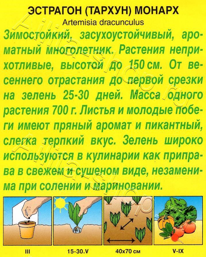Эстрагон Монарх 0,05г