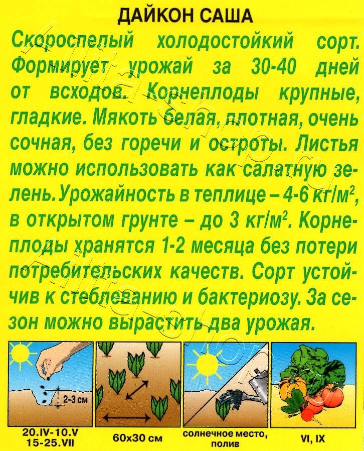 Дайкон Саша 1г