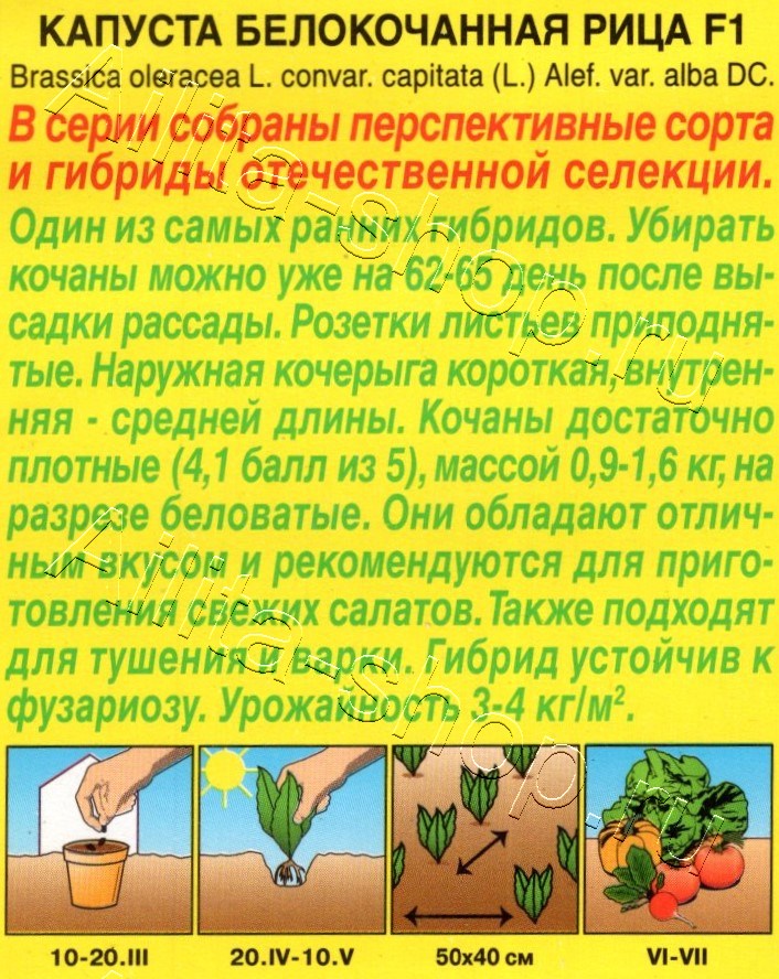 Капуста белокочанная Рица F1 0,1г