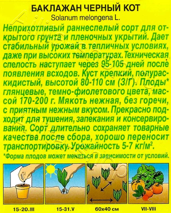 Баклажан Черный кот 0,1г