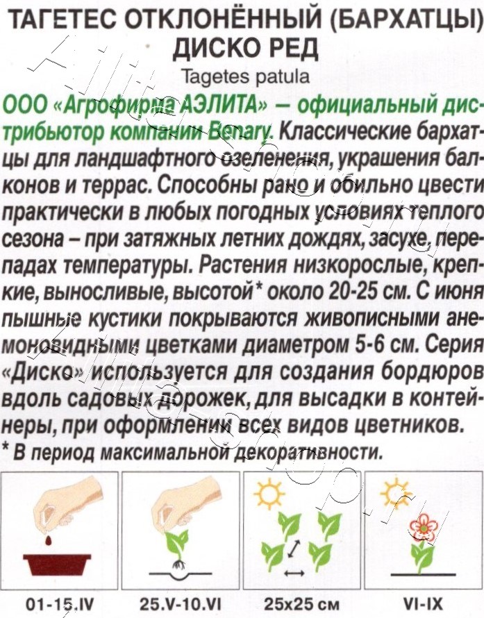 Бархатцы Диско ред отклоненные 7шт