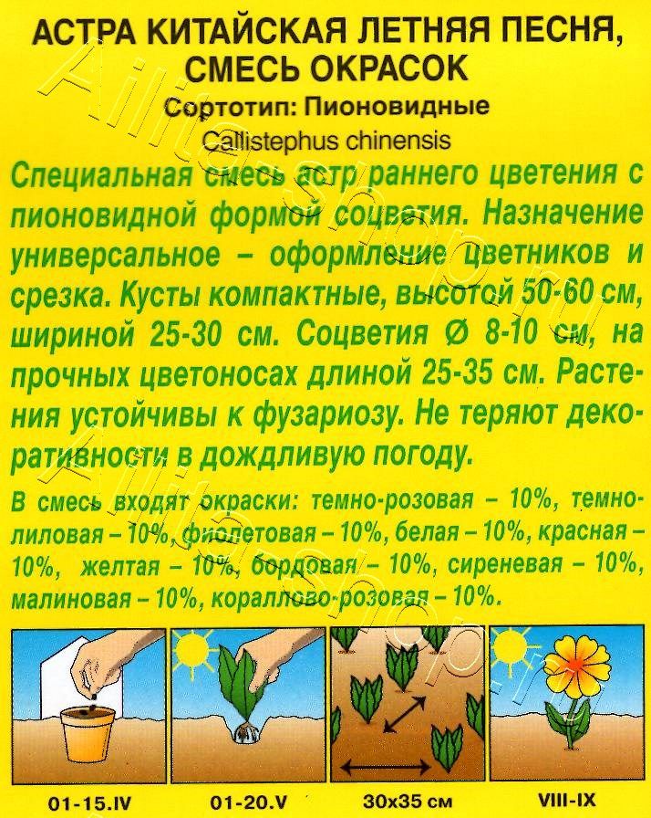 Астра Летняя песня, смесь окрасок 0,2г