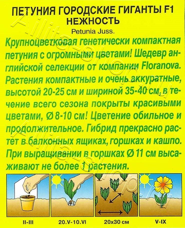 Петуния Городские гиганты F1 нежность 7шт