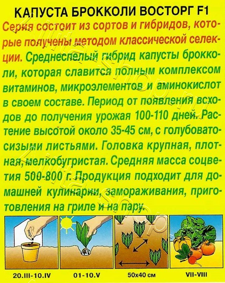 Капуста брокколи Восторг F1 0,1г