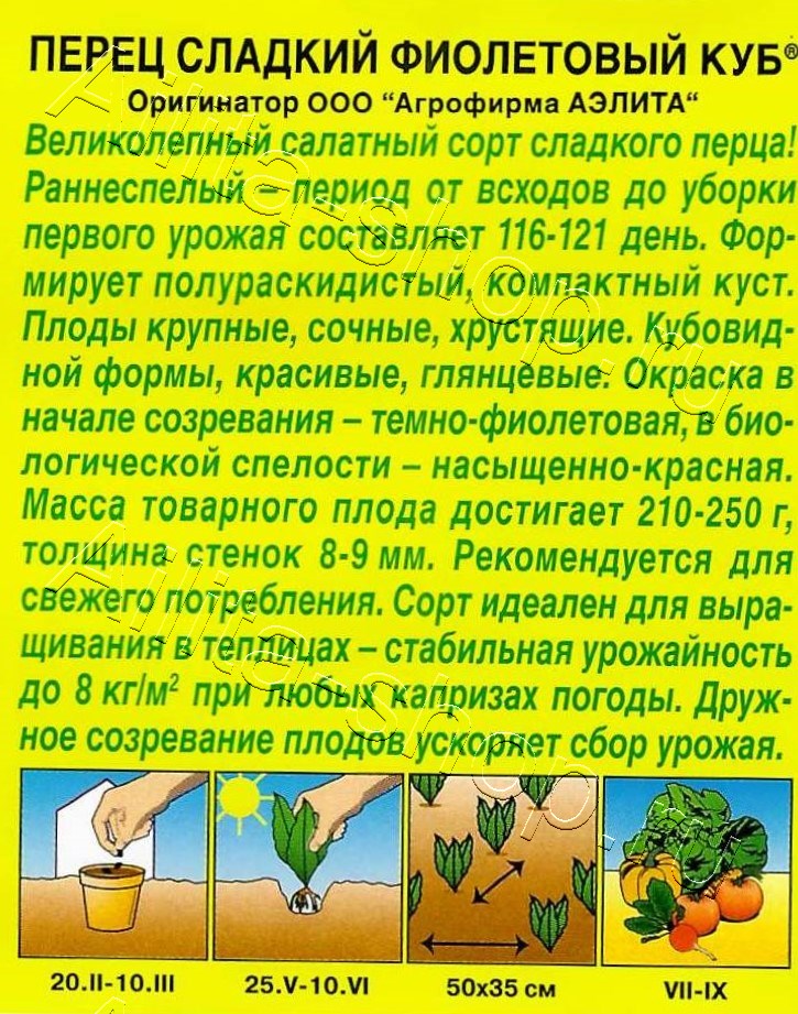 Перец сладкий Фиолетовый куб 20шт