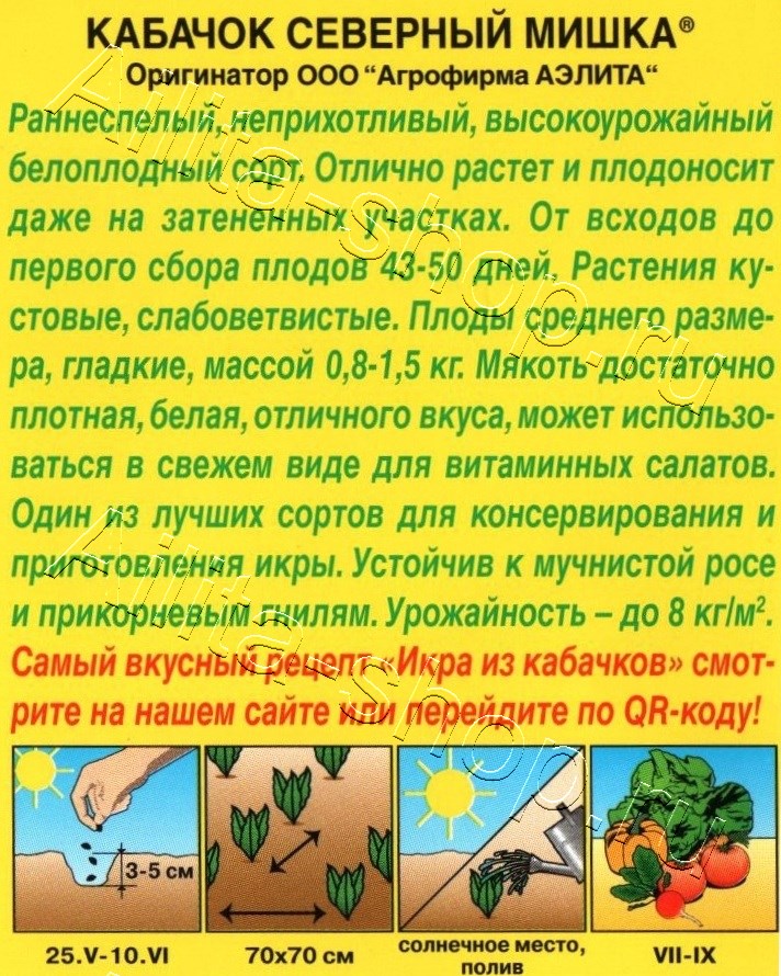 Кабачок белоплодный Северный мишка 2г