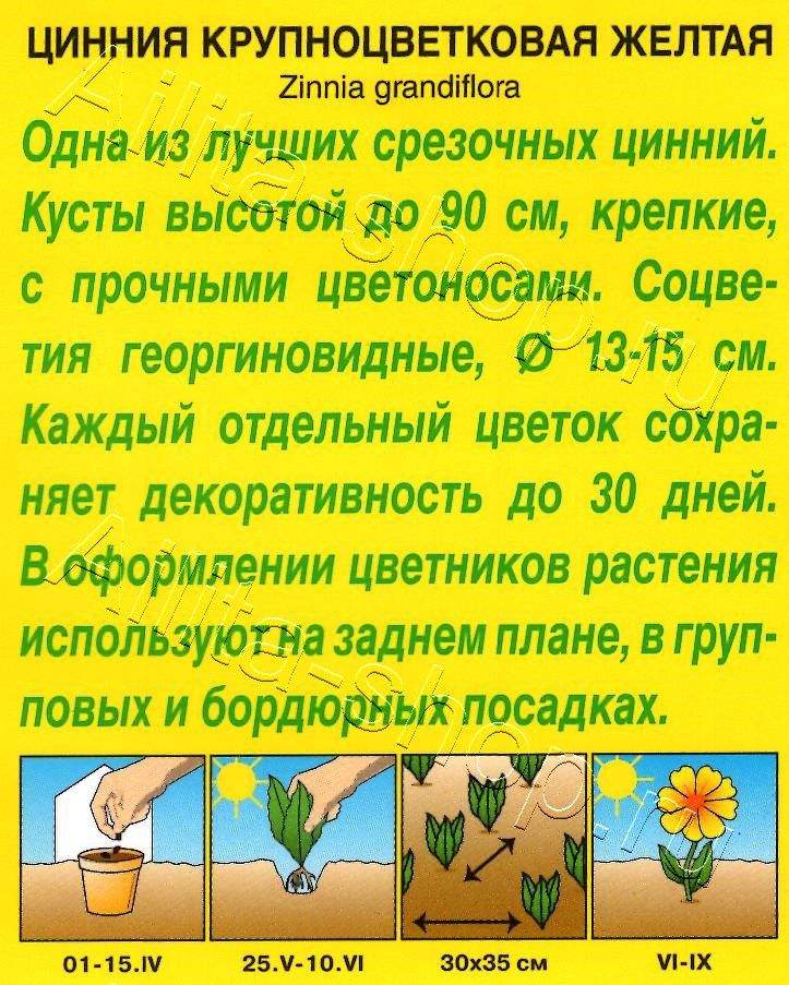 Цинния Крупноцветковая желтая 0,3г