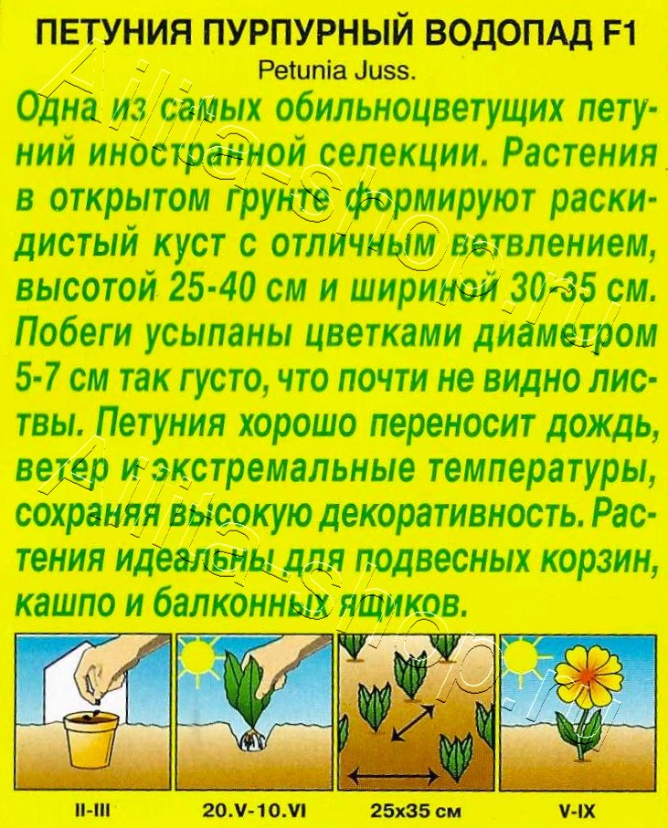 Петуния Пурпурный водопад F1 7шт