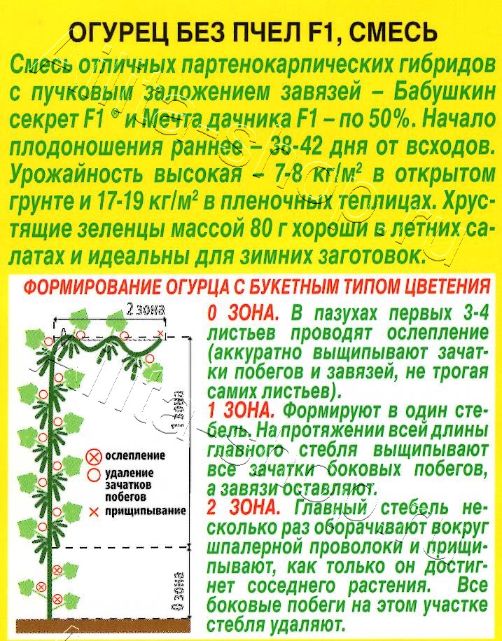 Огурец Без пчел F1, смесь 10шт