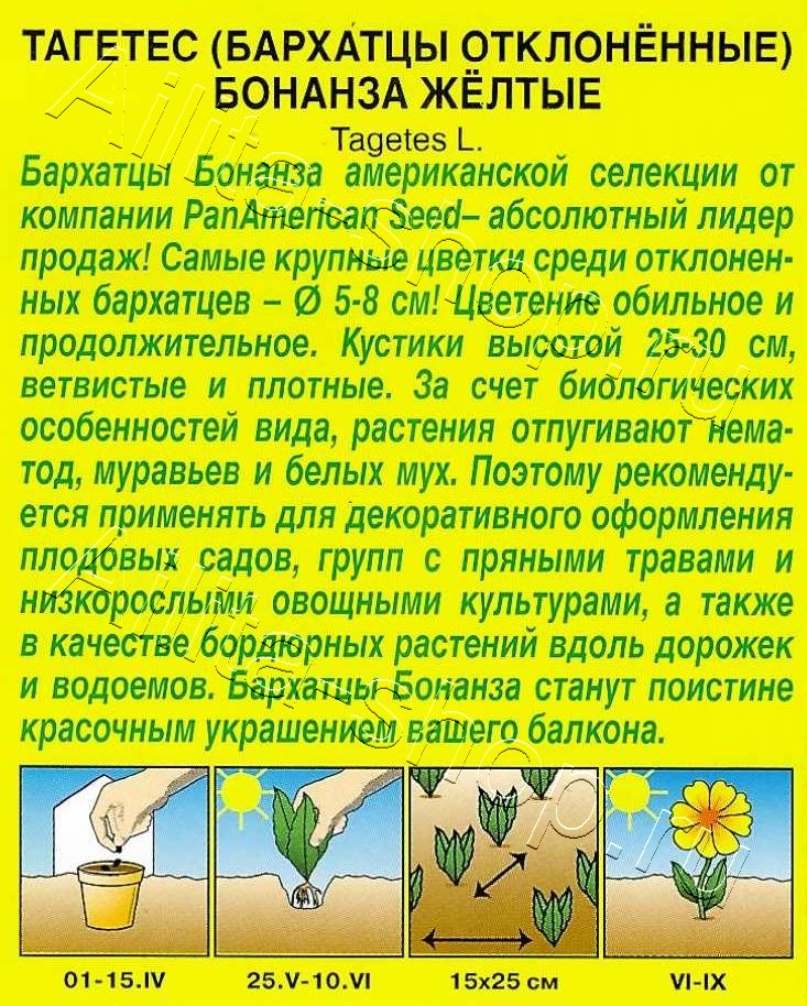 Бархатцы Бонанза желтые отклоненные 7шт