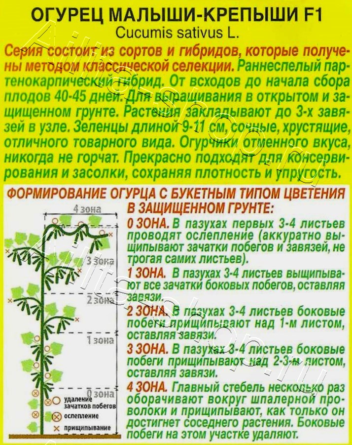 Огурец Малыши-крепыши F1 10шт