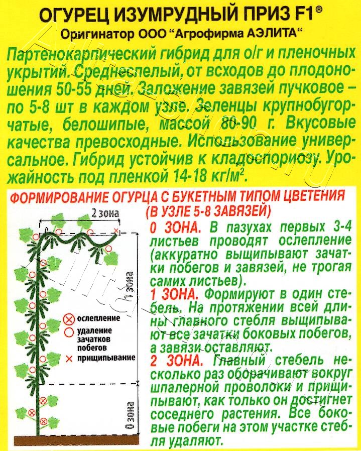 Огурец Изумрудный приз F1 10шт