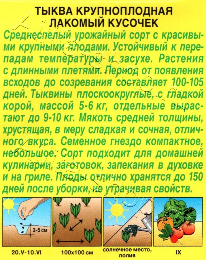 Тыква крупноплодная Лакомый кусочек 2г