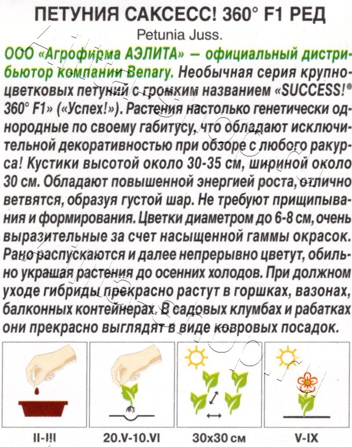 Петуния САКСЕСС! 360° F1 Ред 7шт