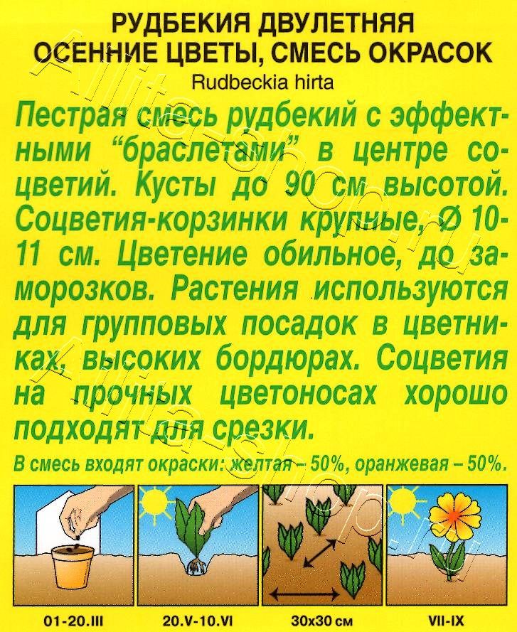 Рудбекия Осенние цветы, смесь окрасок 0,1г