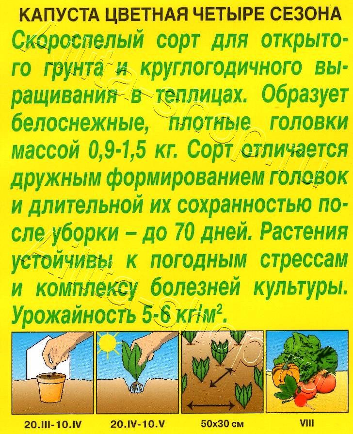 Капуста цветная Четыре сезона 0,3г