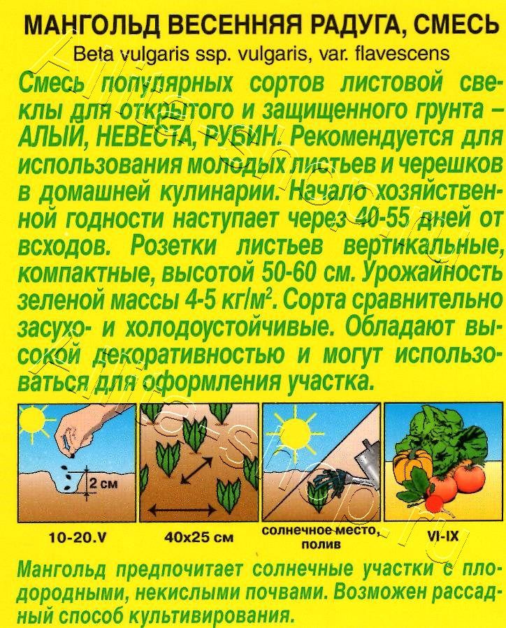 Мангольд Весенняя радуга, смесь 1г