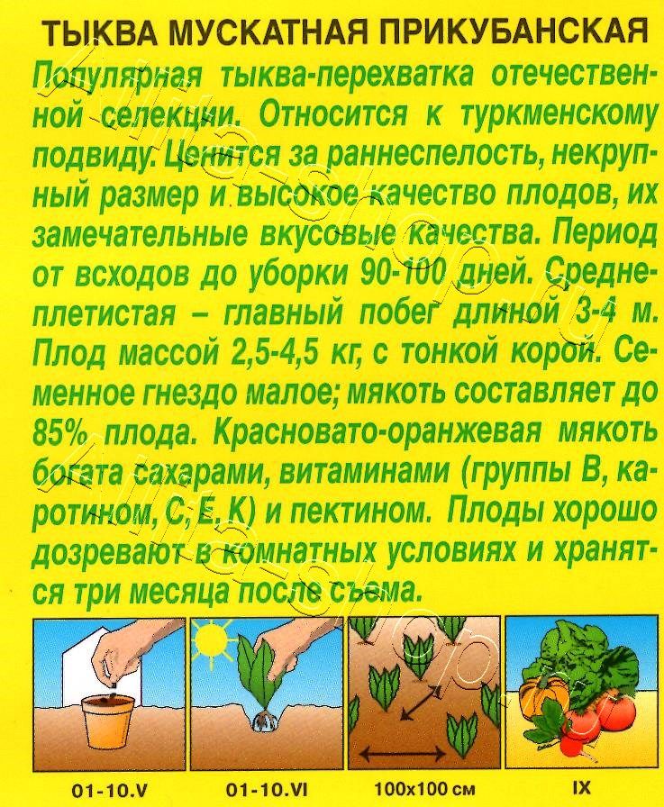 Тыква мускатная Прикубанская 2г