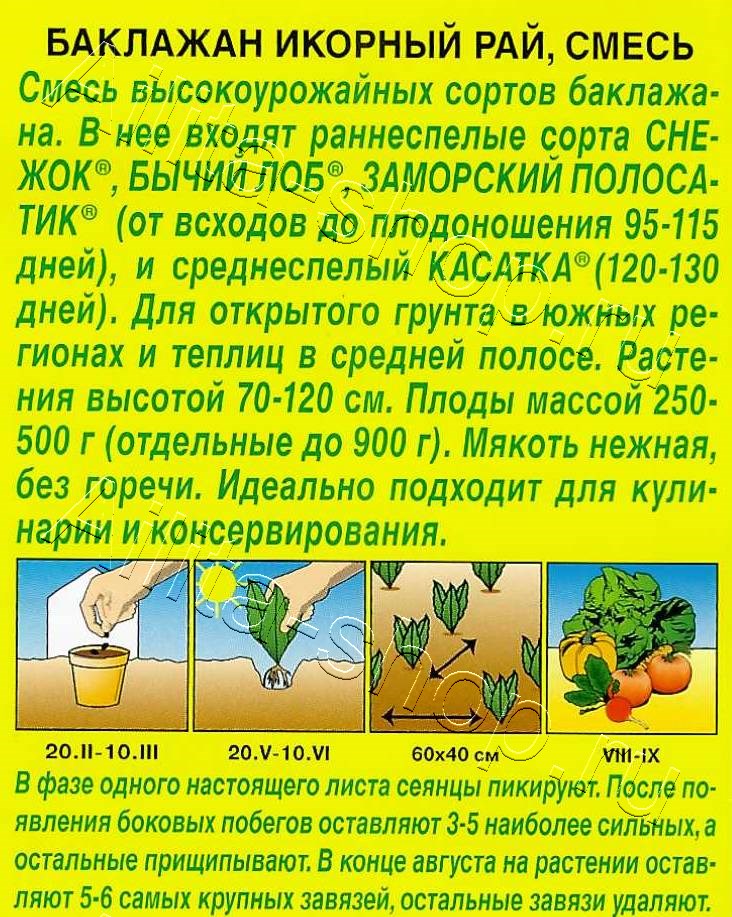 Баклажан Икорный рай, смесь 0,1г