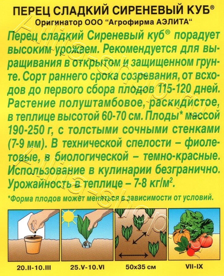 Перец сладкий Сиреневый куб 20шт