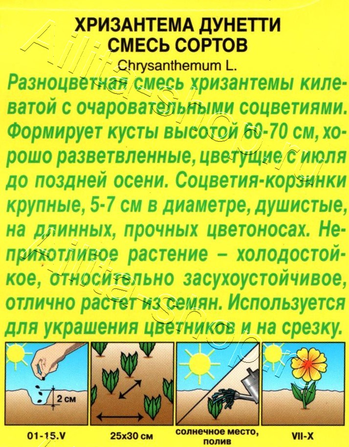 Хризантема Дунетти, смесь окрасок 0,3г