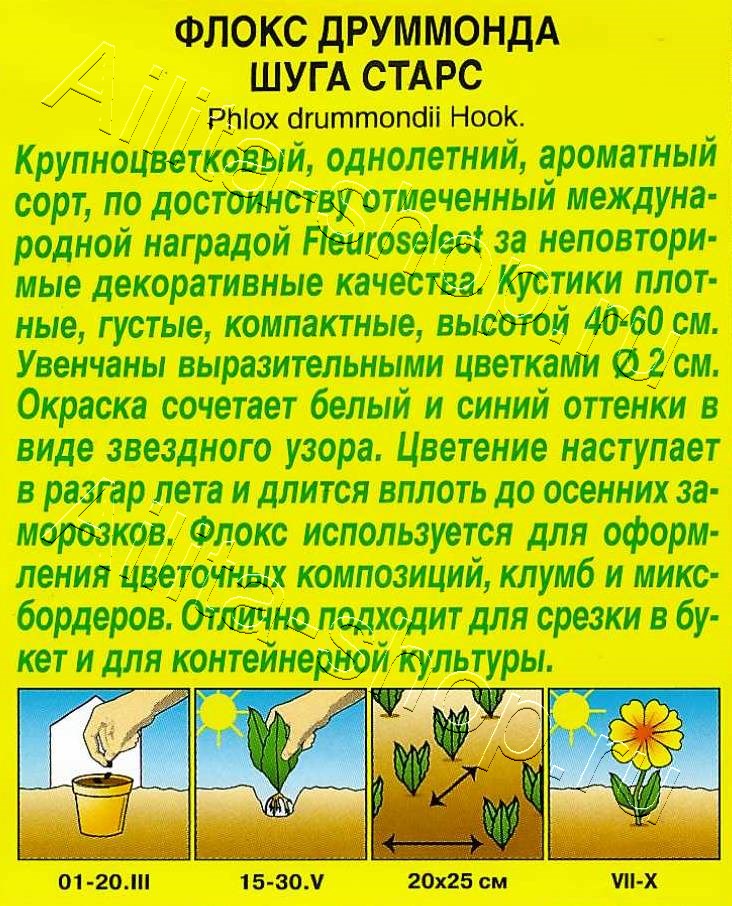 Флокс друммонда Шуга старс 20шт