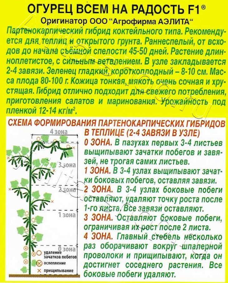 Огурец Всем на радость F1 10шт