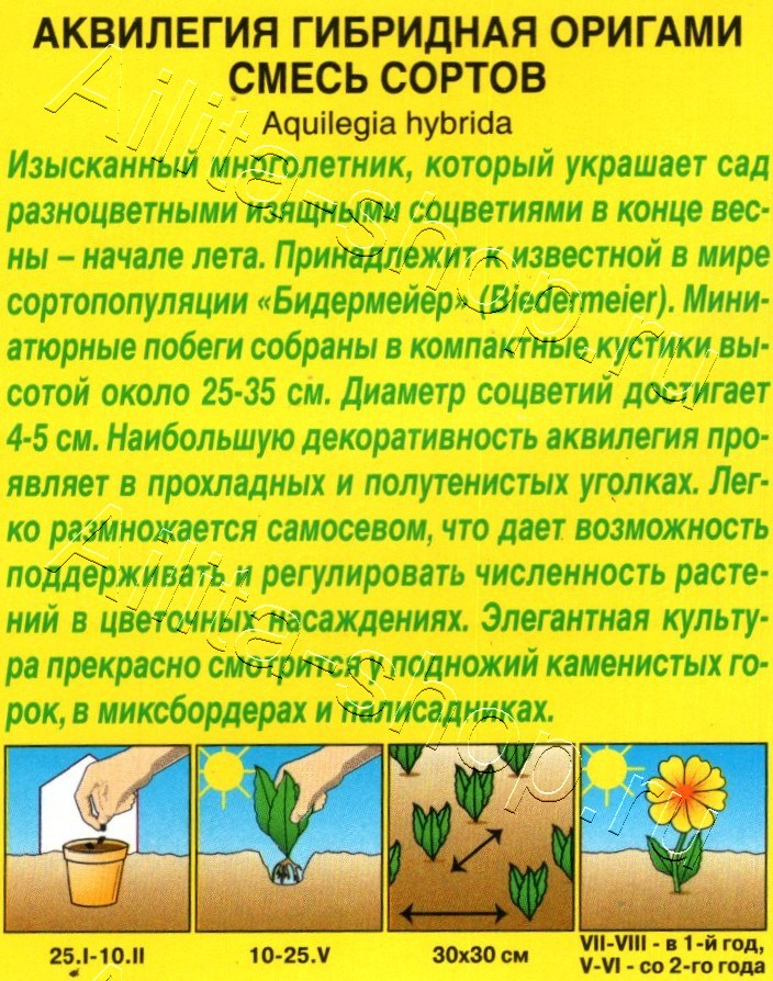 Аквилегия Оригами, смесь сортов 0,1г