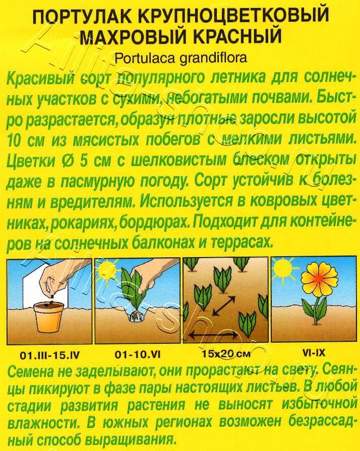 Портулак махровый красный 0,05г