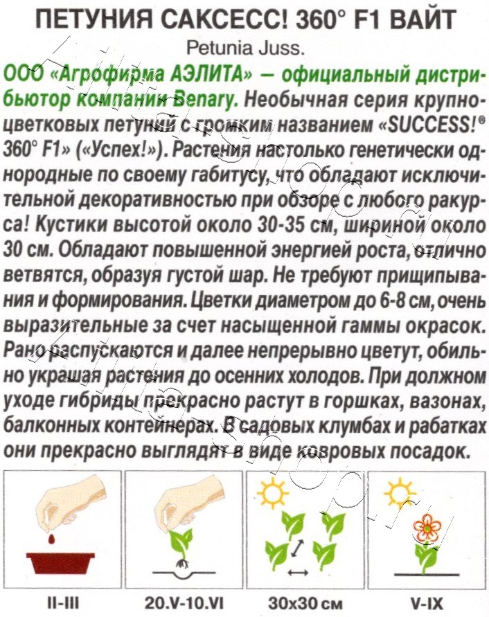 Петуния САКСЕСС! 360° F1 Вайт 7шт