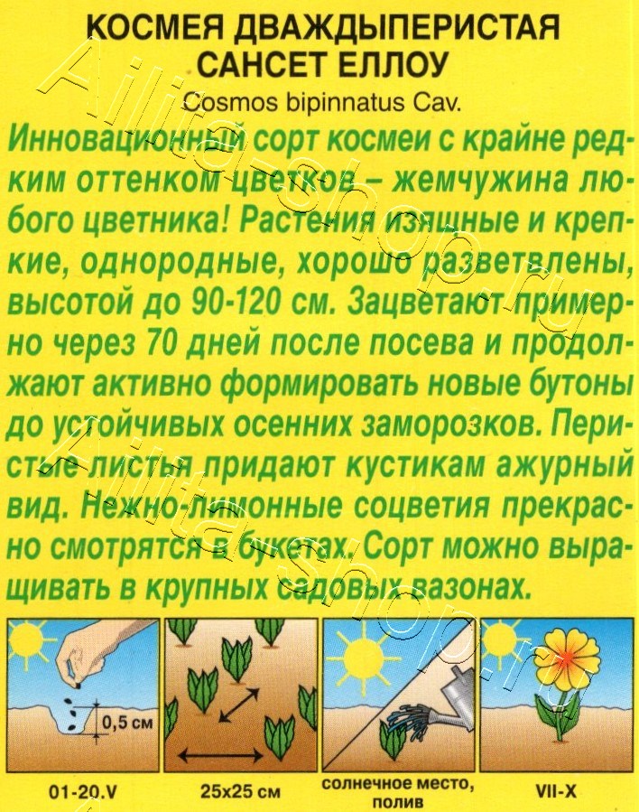 Космея Сансет еллоу 0,3г