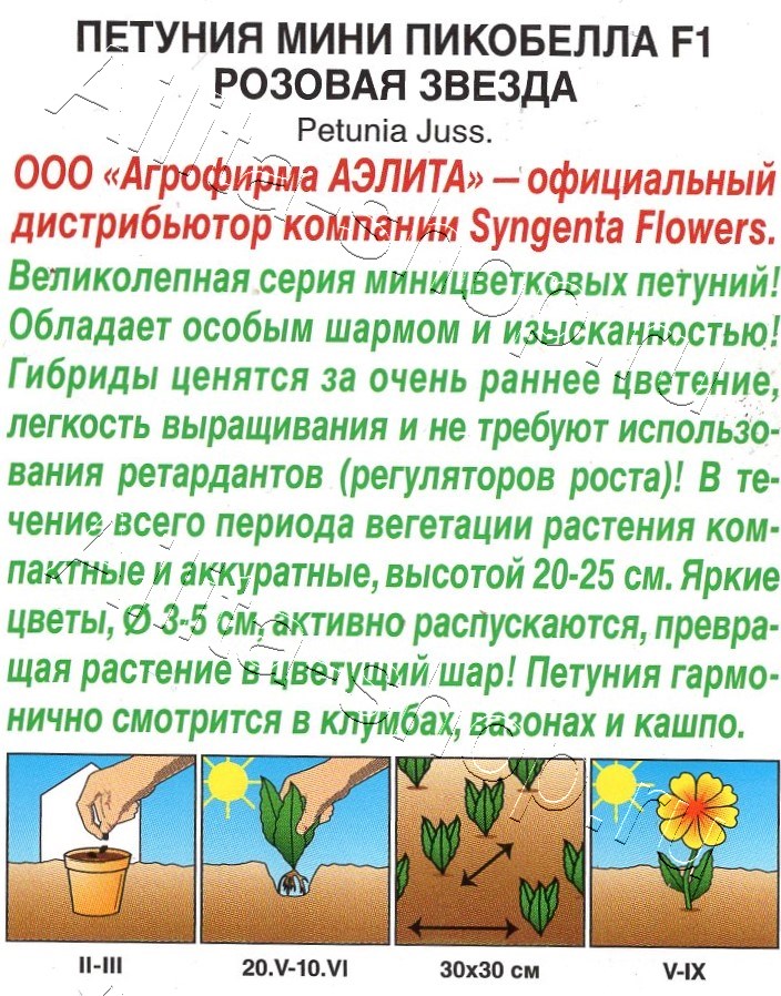 Петуния мини Пикобелла F1 розовая звезда 5шт