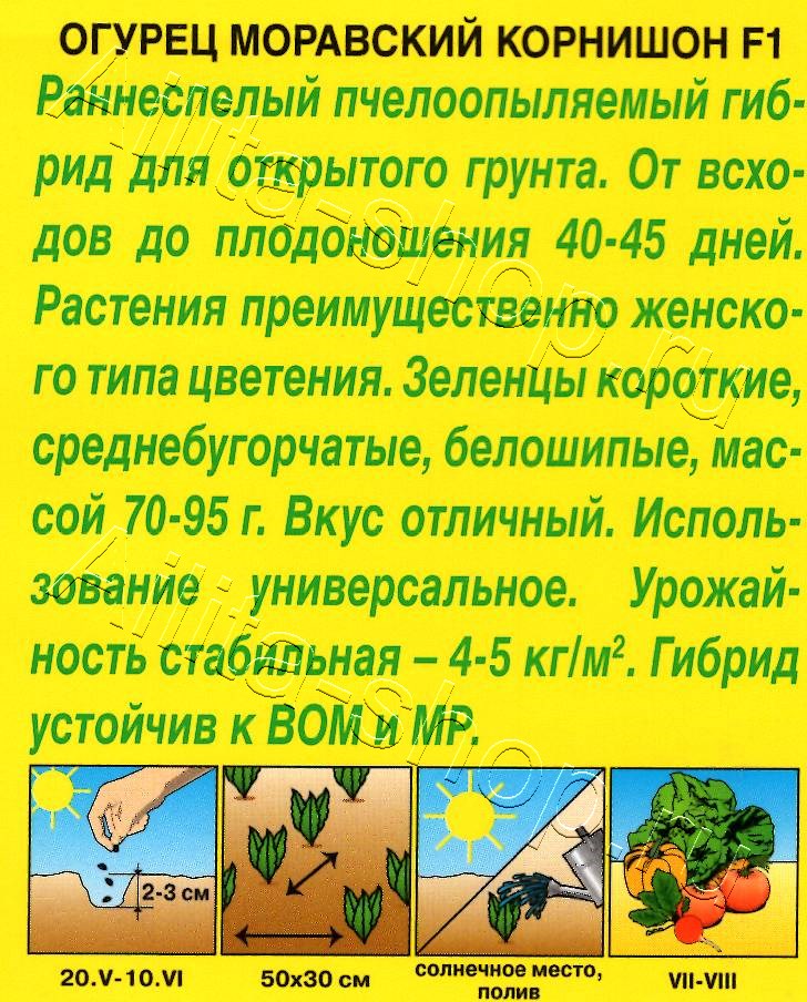 Огурец Моравский корнишон F1 10шт