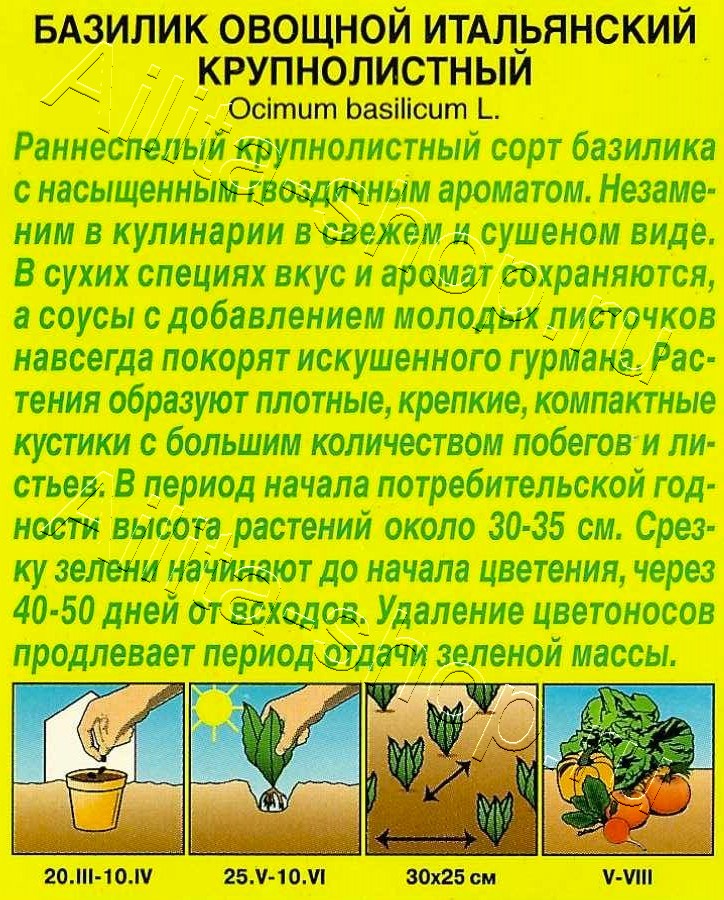 Базилик овощной Итальянский крупнолистный 0,2г