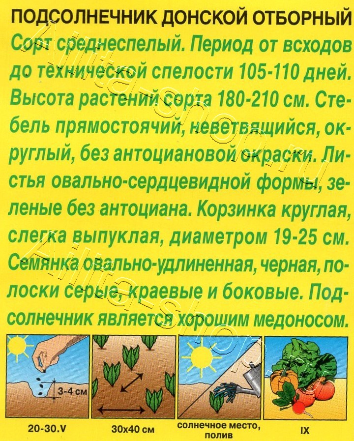 Подсолнечник Донской отборный 5г