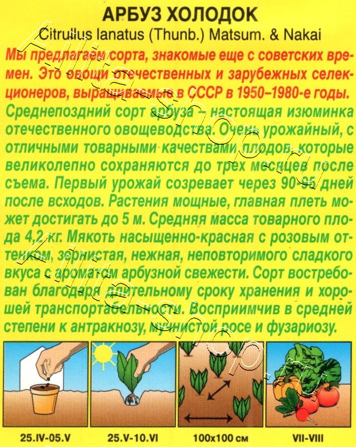 Арбуз Холодок 1г