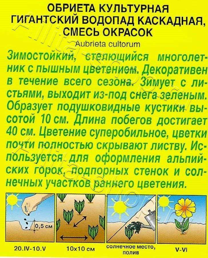 Обриета каскадная Гигантский водопад, смесь окрасок 0,05г