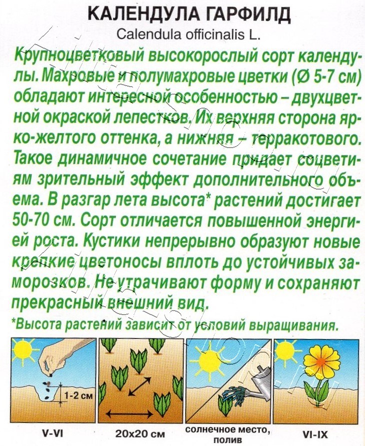 Календула Гарфилд махровая 0,3г