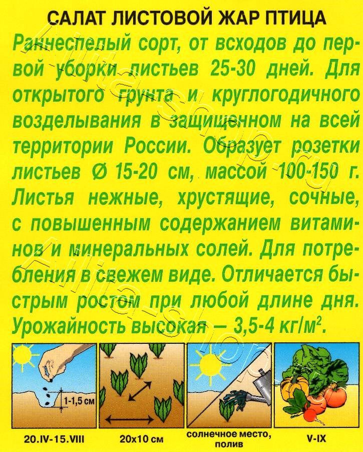 Салат Жар птица листовой 0,5г