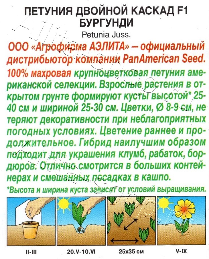 Петуния Двойной каскад F1 бургунди 5шт