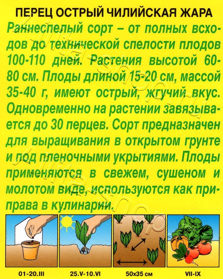 Перец острый Чилийская жара 20шт
