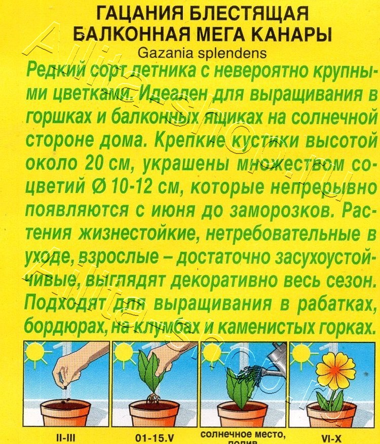 Гацания Балконная мега канары 4шт