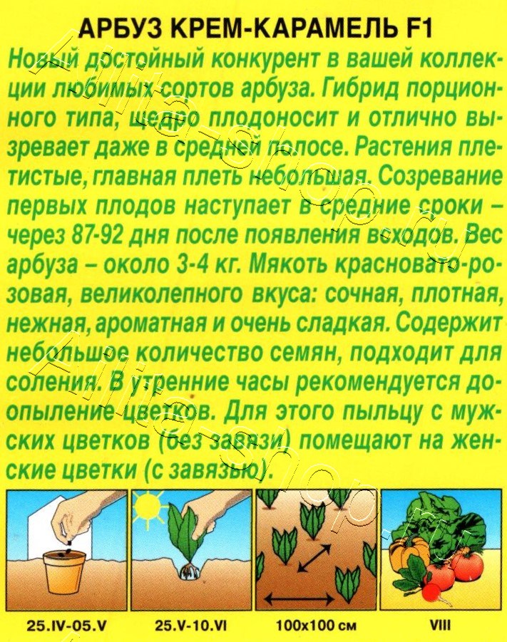 Арбуз Крем-карамель F1 5шт